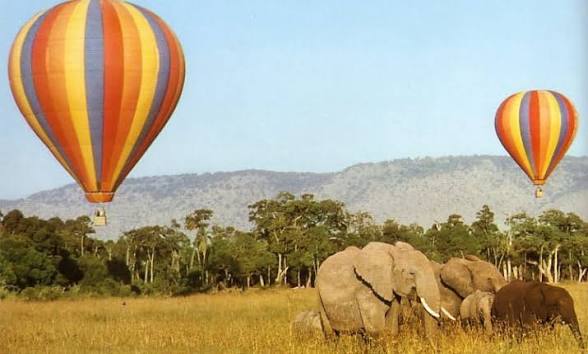Hot air balloon safari over the savanna