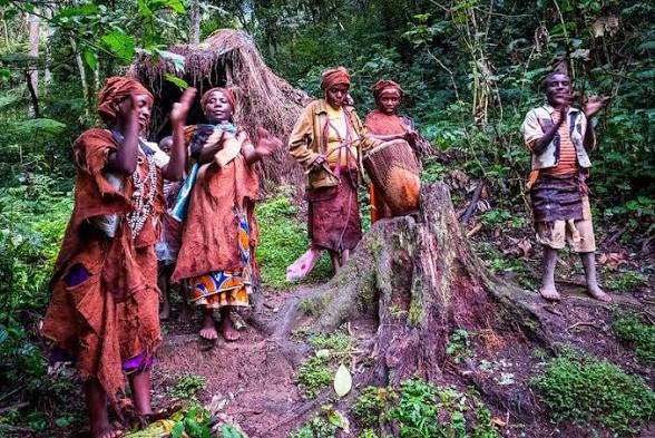 Batwa cultural experience (2 of 4)