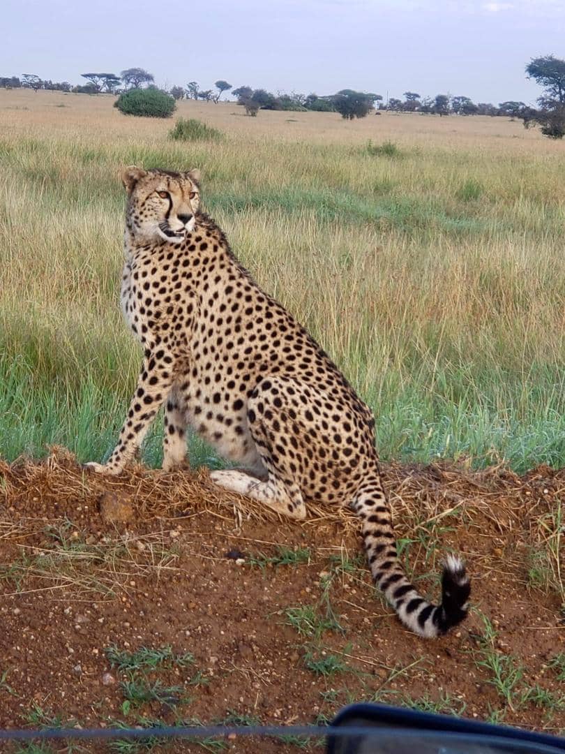 Pian Upe Wildlife Reserve