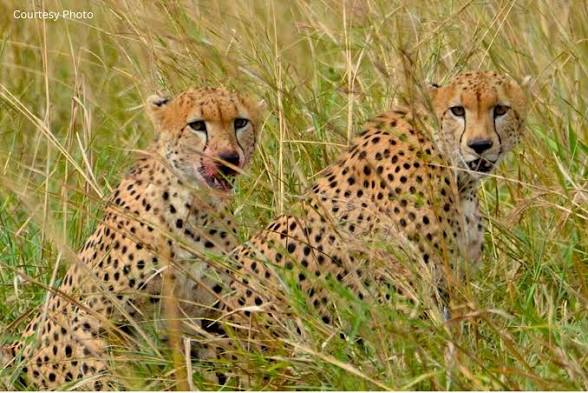 Moments in Kidepo Valley National Park (10 of 12)