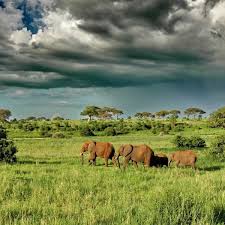 Kidepo Valley National Park (13 of 13)
