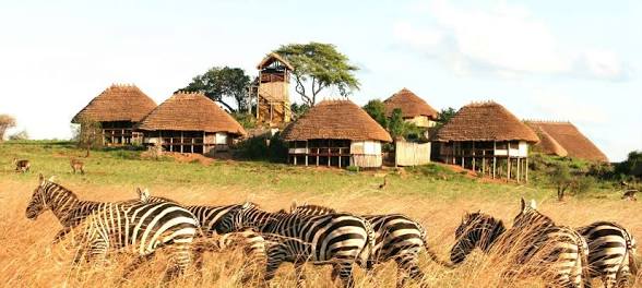 Moments in Kidepo Valley National Park (4 of 12)