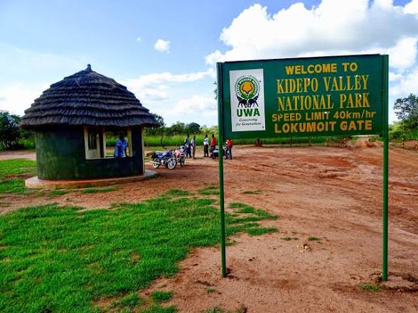 Moments in Kidepo Valley National Park (6 of 12)