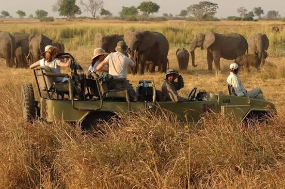 Moments in Kidepo Valley National Park (8 of 12)