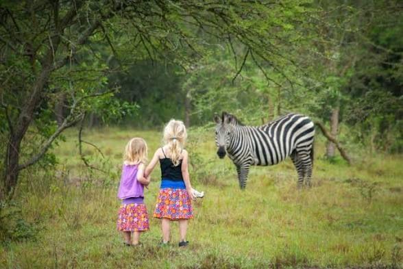 Lake Mburo wetlands