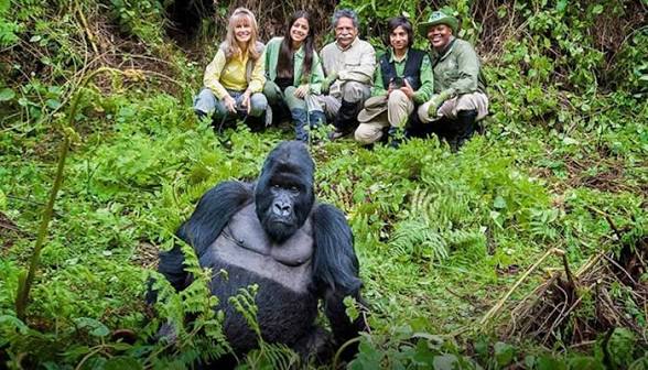 Moments from Mgahinga gorilla trekking (1 of 8)