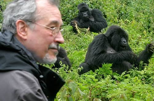 Moments from Mgahinga gorilla trekking (7 of 8)