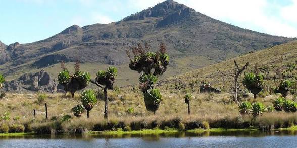 The Mount Elgon experience (1 of 6)