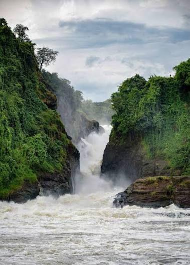 Murchison Falls from the gorge