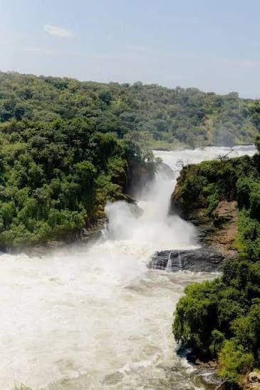 The top of Murchison Falls