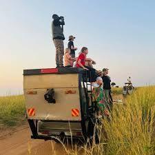 Game viewing from the roof