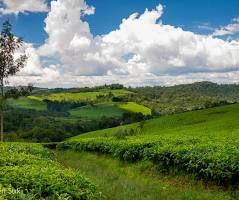 Crater country, Queen Elizabeth