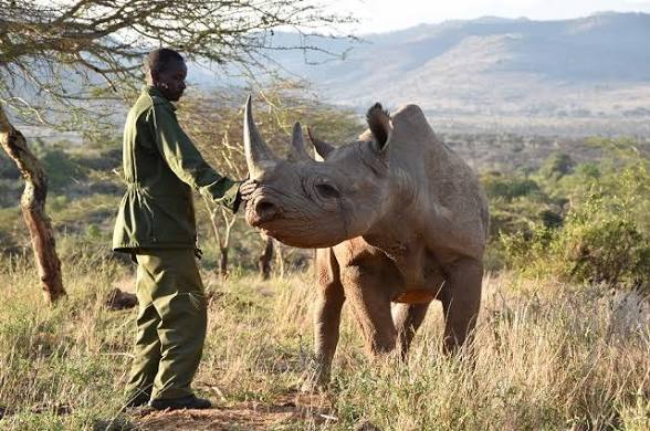 Moments from Ziwa Rhino Sanctuary (1 of 5)