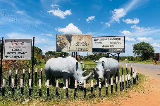Moments from Ziwa Rhino Sanctuary (5 of 5)